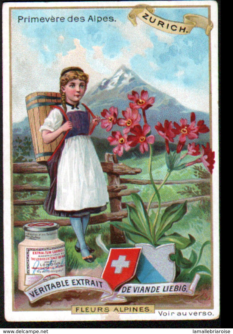 CHROMO LIEBIG , S 474, Fleurs Alpines, Zurich, Primevere Des Alpes - Liebig