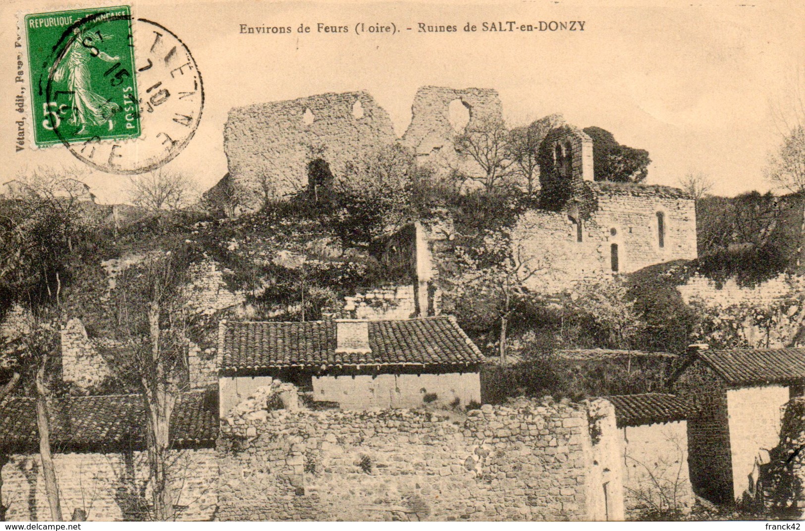 42. Environs De Feurs. Ruines De Salt En Donzy - Autres & Non Classés