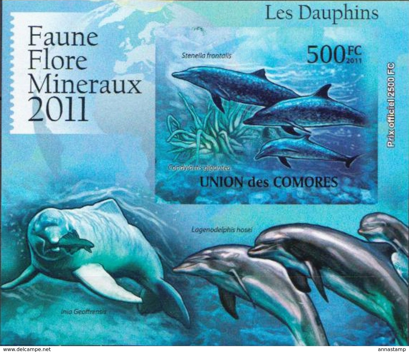 Comores MNH Dolphins Set Of 5 Imperforated Deluxe SSs - Delfines