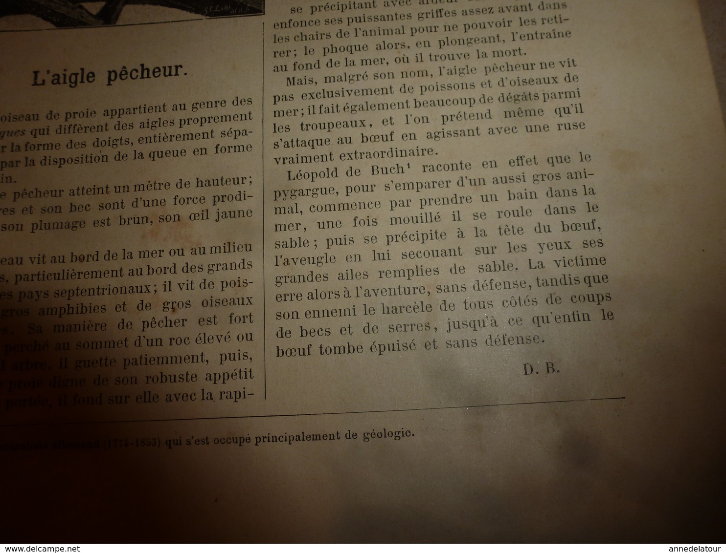 1890 Le Petit Français illustré ---->LONDON-BRIDGE; L'aigle-pêcheur; La famille  milliardaire Rothschild; etc