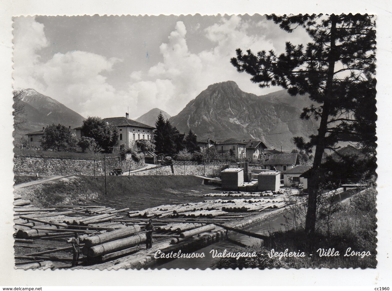 Castelnuovo Valsugana (Trento) - Segheria - Villa Longo - Viaggiata Nel 1954 - (FDC10711) - Trento