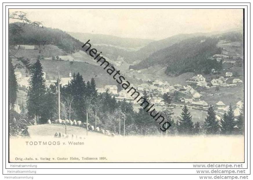 Todtmoos Von Westen 1904 - Todtmoos