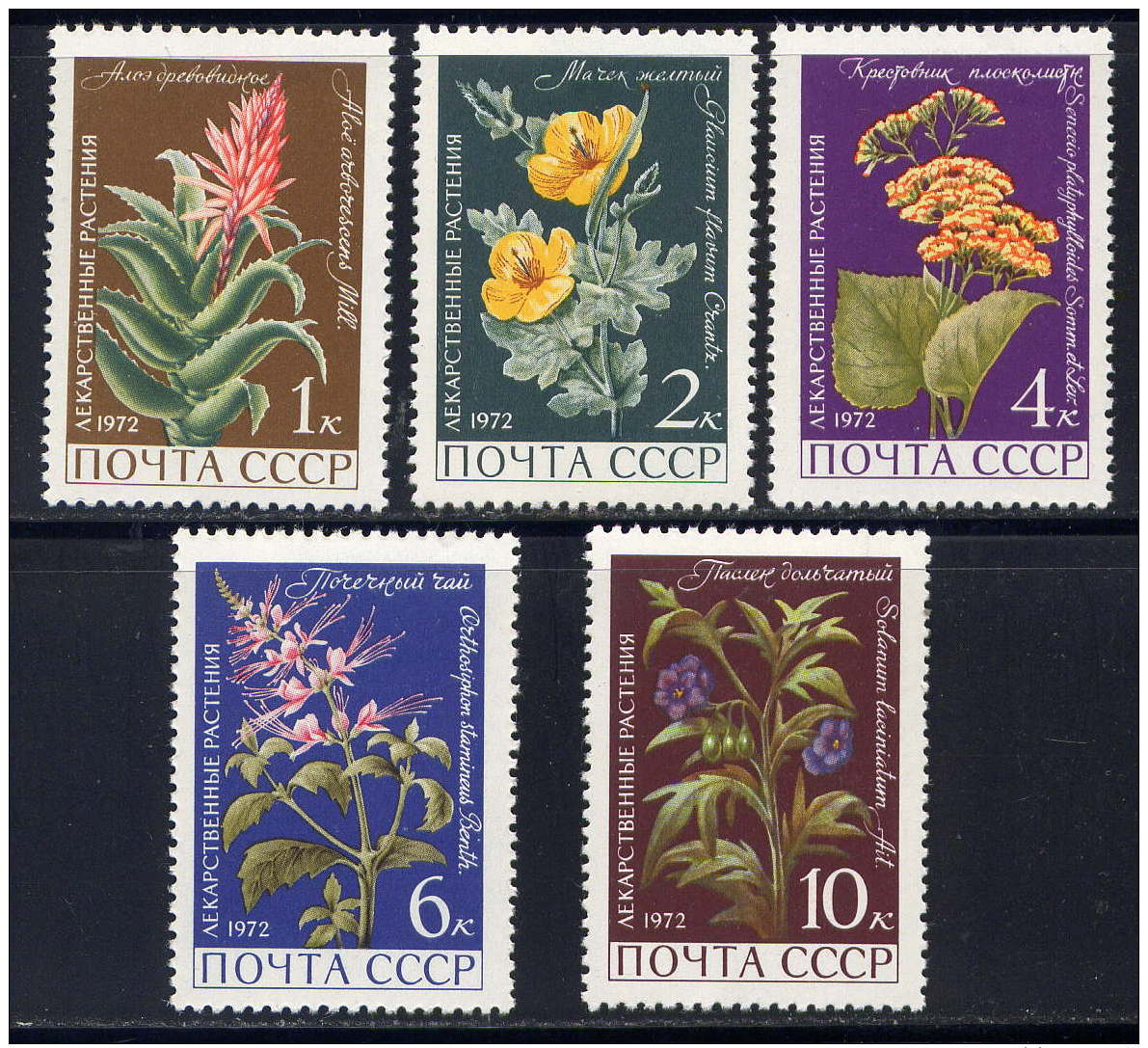 RUSSIE - 3817/3821** - PLANTES MEDICINALES - Nuovi