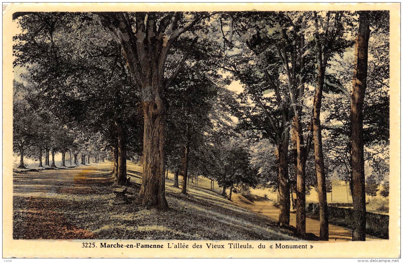 MARCHE-en-FAMENNE - L'allée Des Vieux Tilleuls, Du "Monument" - Marche-en-Famenne