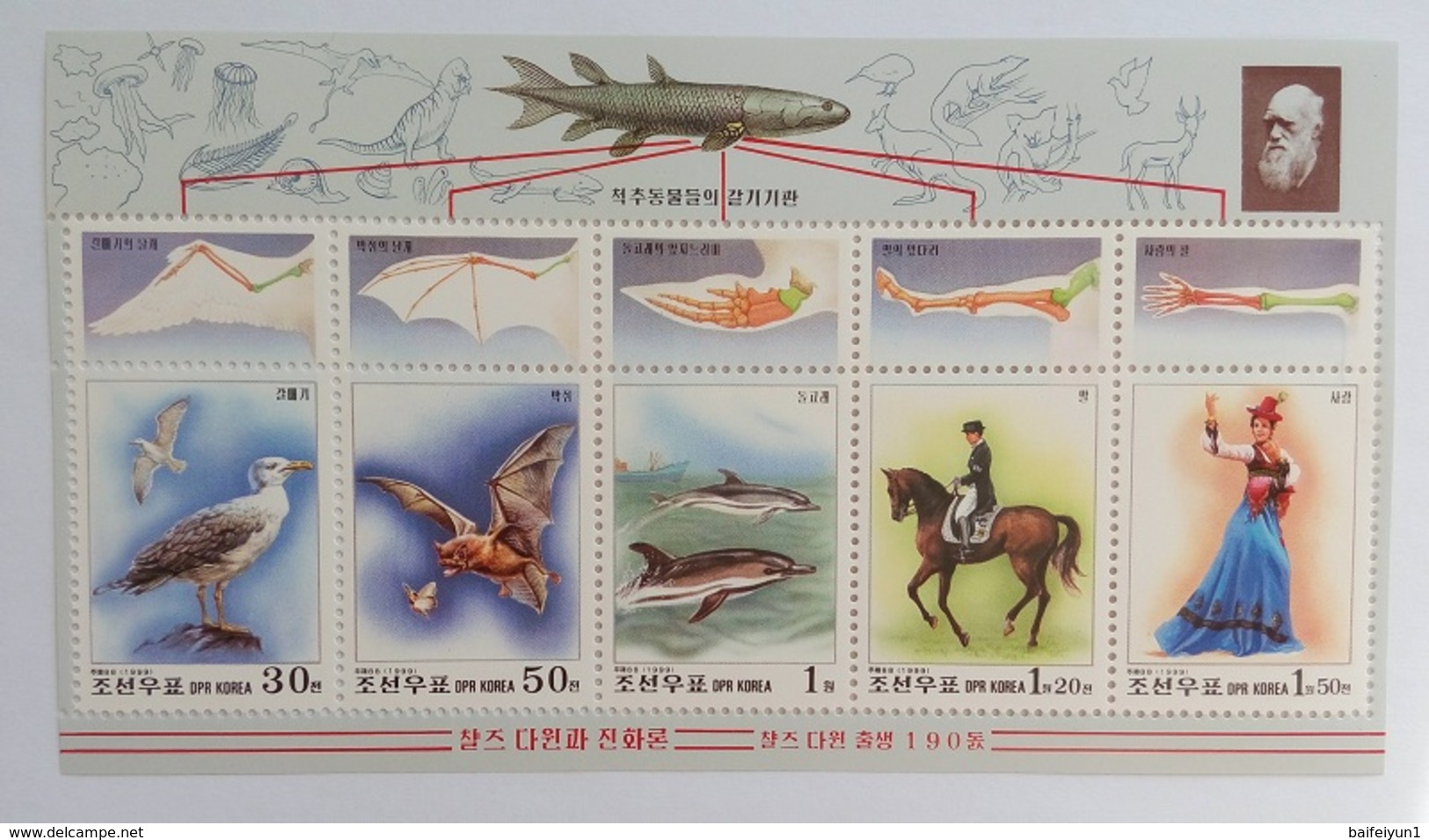1999 North Korea Stamps Darwin And Evolutionism MS - Corea Del Nord
