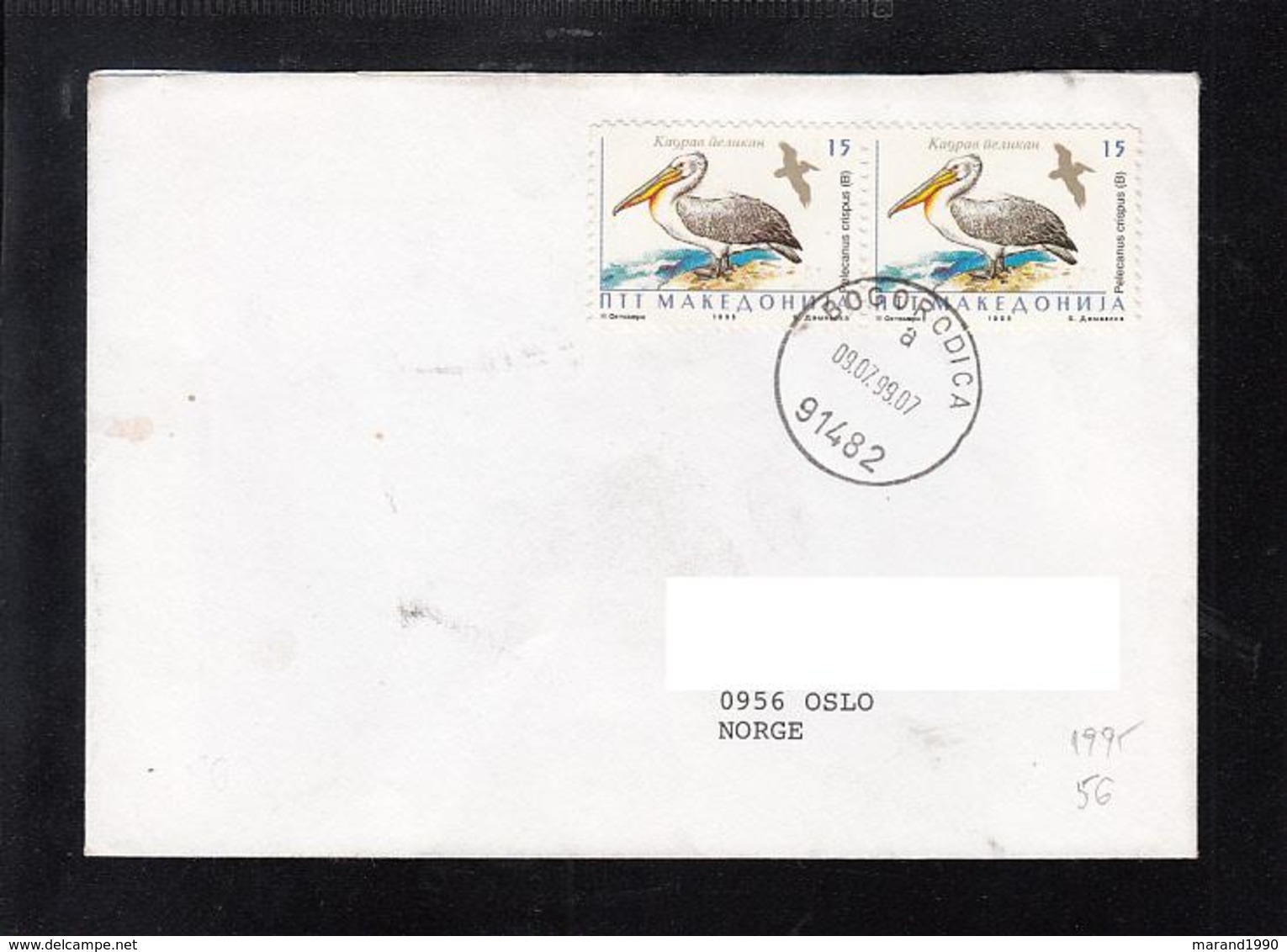 REPUBLIC OF MACEDONIA, 1995, MICHEL 56 - BIRDS PELECANUS CRISPUS ** - Pelikane