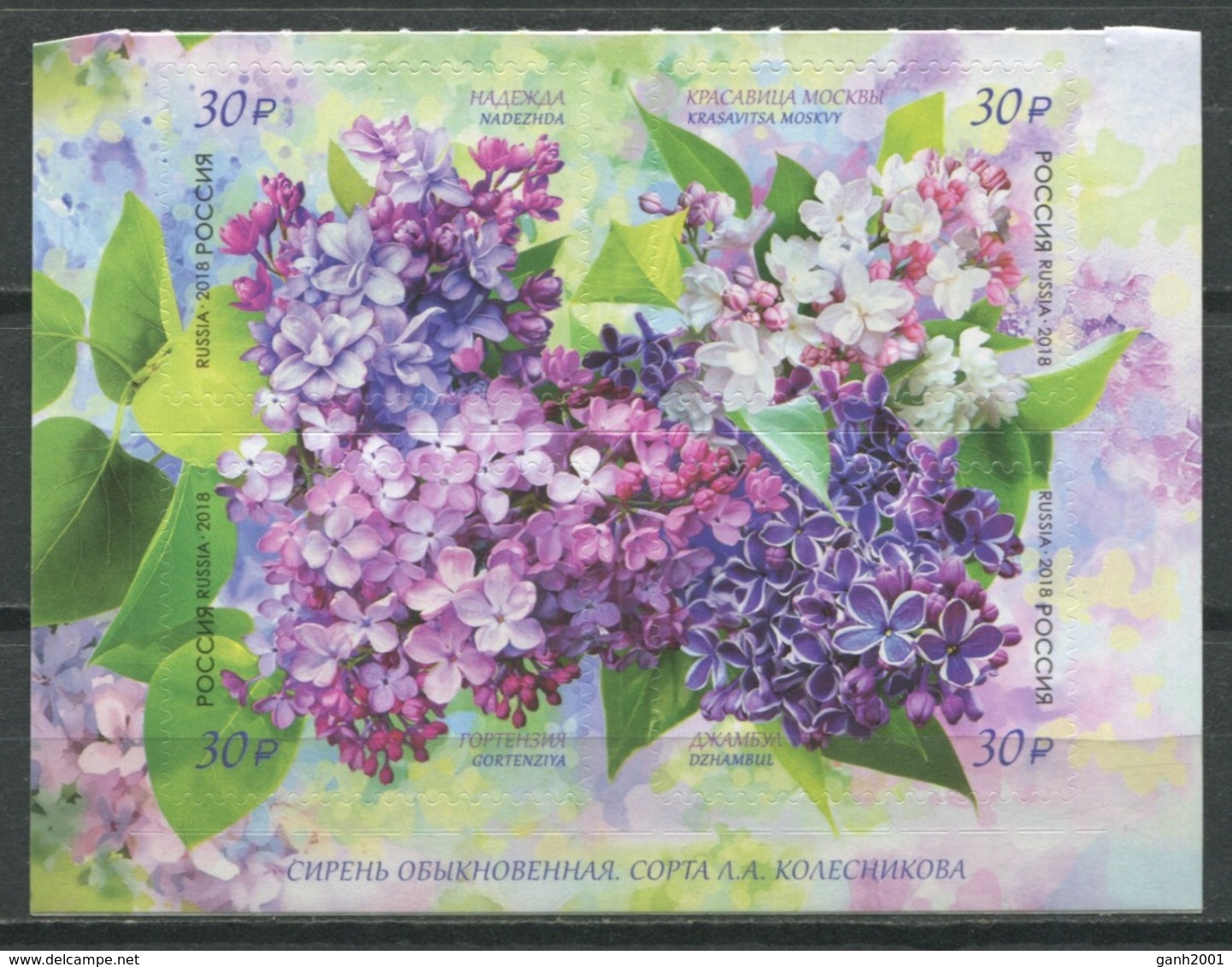 Russia 2018 Rusia / Flowers MNH Flores Blumen Fleurs / Cu9301  41-25 - Otros & Sin Clasificación