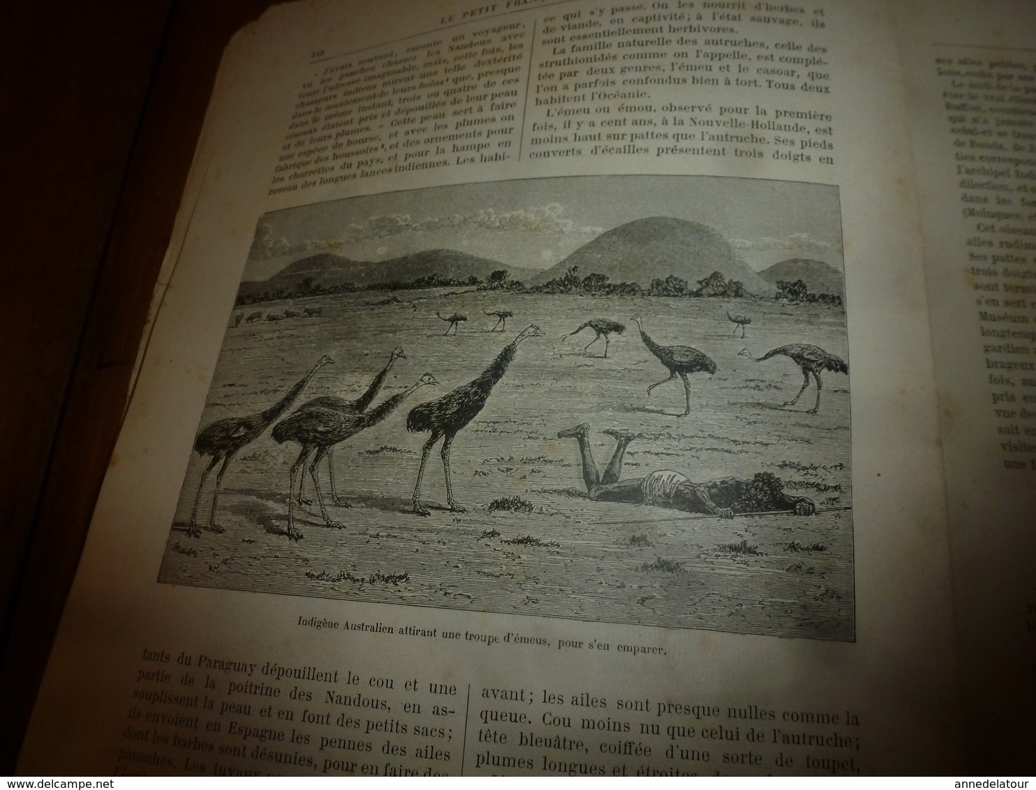 1890 Le Petit Français illustré : Les mines d'or de Kimberley; Le casoar à casque ; etc