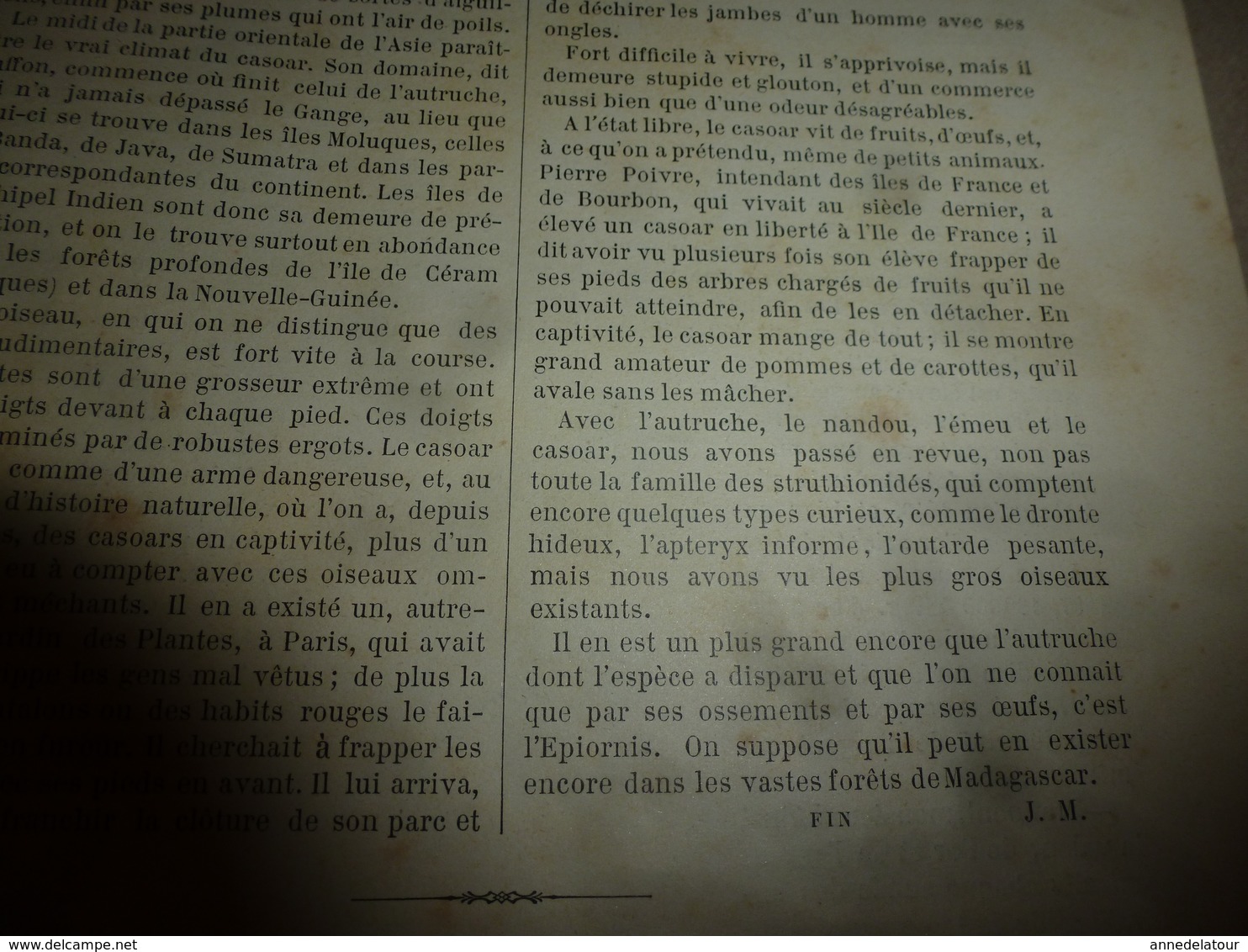 1890 Le Petit Français illustré : Les mines d'or de Kimberley; Le casoar à casque ; etc