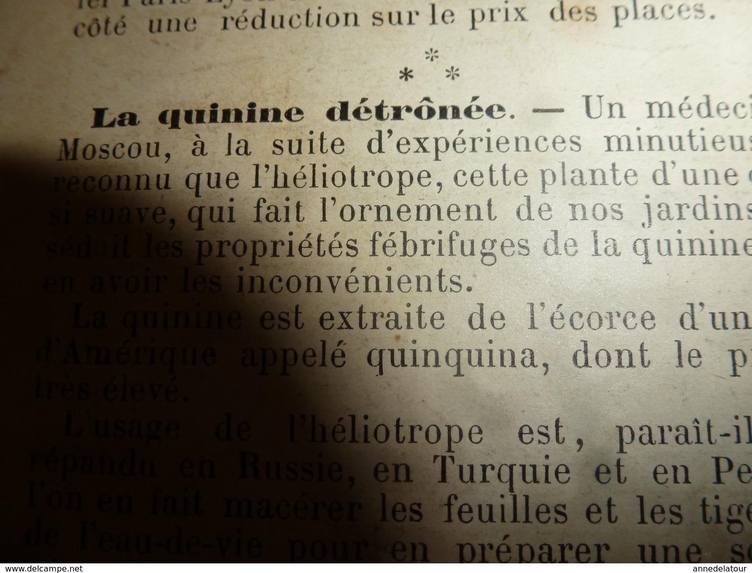 1890 Le Petit Français illustré : L'autruche-monture;Un américain trav. la Manche à nage de Boulogne à Folkestonne ; etc