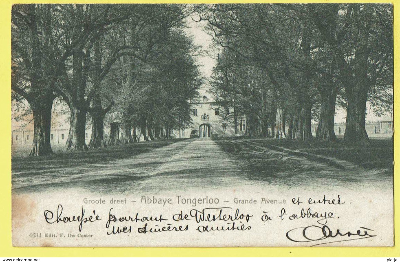 * Tongerloo - Tongerlo (Westerlo - Antwerpen) * (Edit F. De Coster, Nr 4634) Grote Dreef, Abbaye, Abdij, Grande Avenue - Westerlo