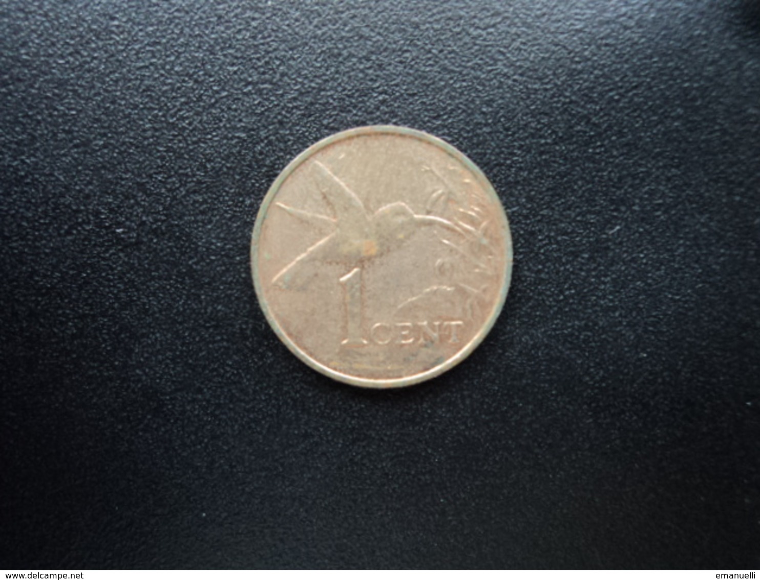 TRINITÉ ET TOBAGO : 1 CENT  1996     KM 29       SUP - Trinidad & Tobago