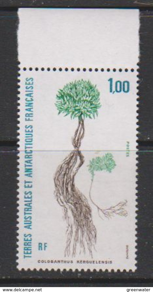 TAAF 1992 Plants / Colobanthus Kerguelensis 1v ** Mnh (39371D) - Ongebruikt