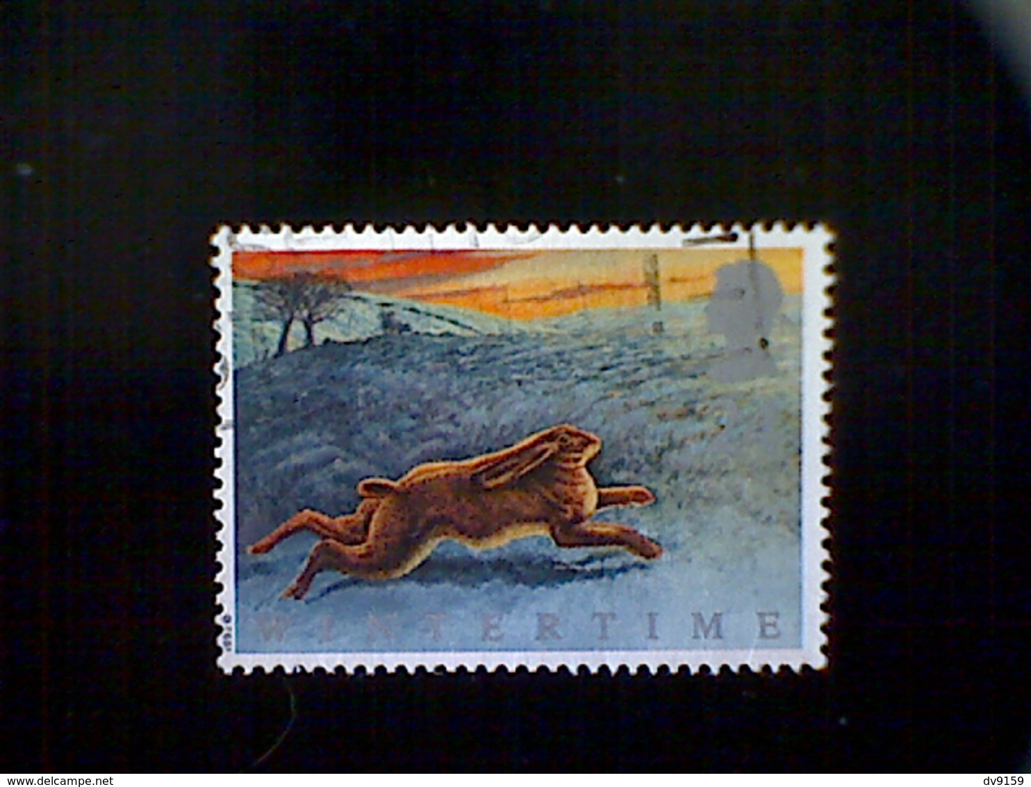 Great Britain, Scott #1422, Used (o), 1992, Animals In Winter: Brown Hare, 24p - Used Stamps