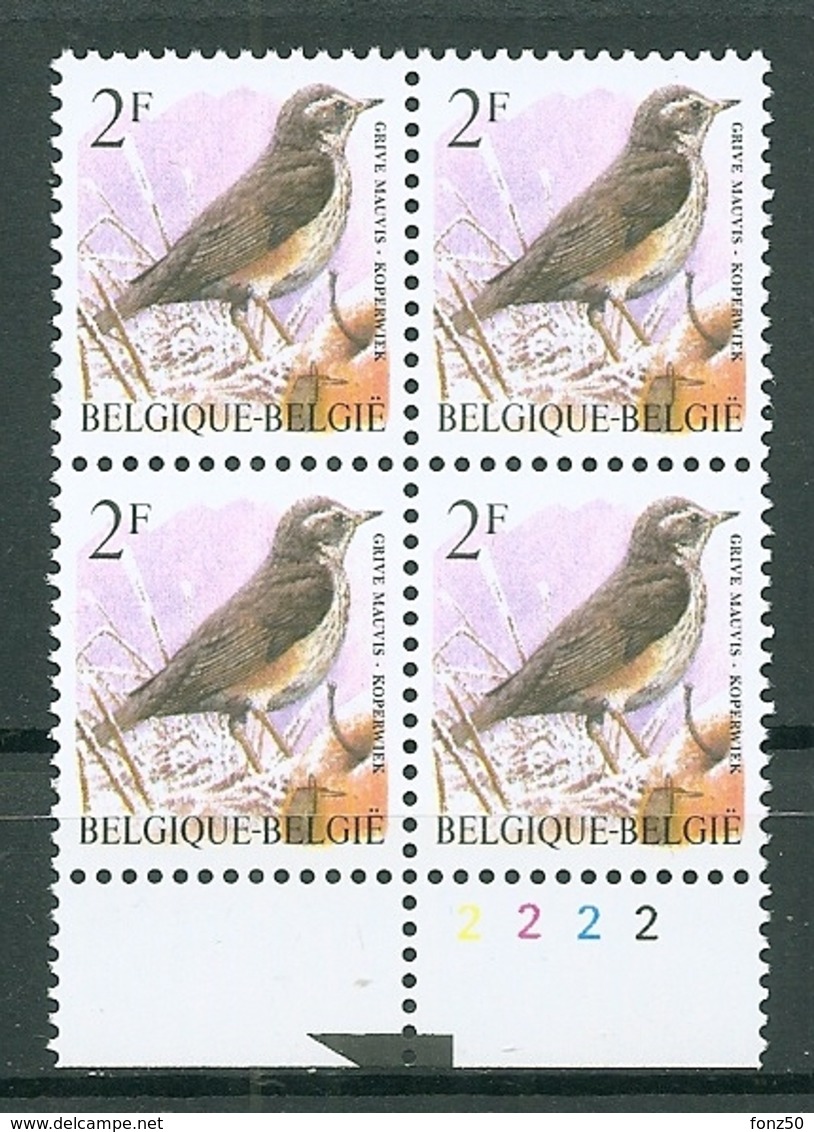 BELGIE * Buzin * Nr 2653  Pl2 * Postfris Xx * FLUOR  PAPIER - GELE GOM - 1985-.. Oiseaux (Buzin)