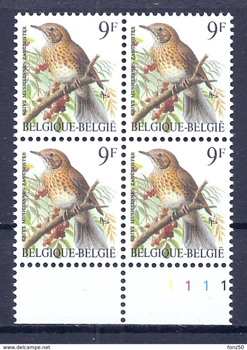 BELGIE * Buzin * Nr 2426  Pl1 * Postfris Xx * FLUOR  PAPIER - 1985-.. Oiseaux (Buzin)