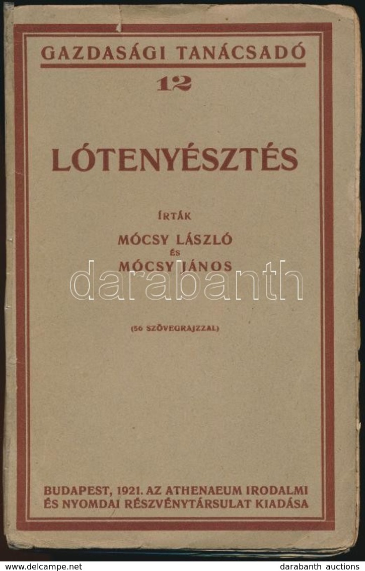 Mócsy László-Mócsy János: Lótenyésztés. Gazdasági Tanácsadó 12. Bp.,1921, Athenaeum,128 P. Egészoldalas és Szövegközti R - Unclassified