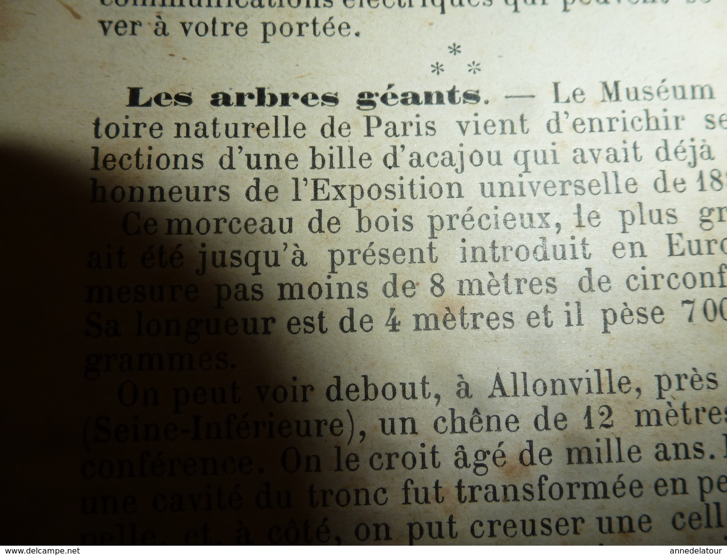 1890 Le Petit Français Illustré :Le Chêne Géant D'Allonville;Les Passe-volants Punis De Mort Ou Ont Le Nez Coupé;etc - 1850 - 1899