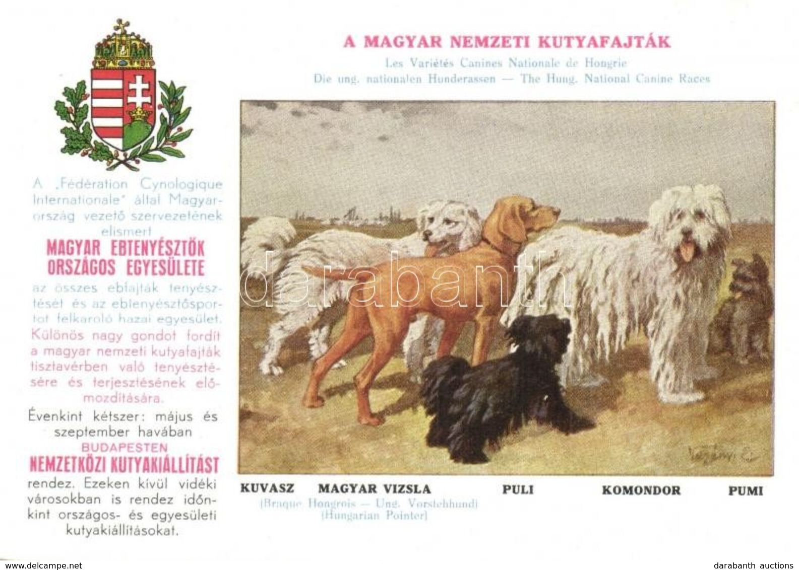 ** T1/T2 Magyar Nemzeti Kutyafajták. A Magyar Ebtenyészt?k Országos Egyesületének Lapja; Kuvasz, Magyar Vizsla, Puli, Ko - Unclassified