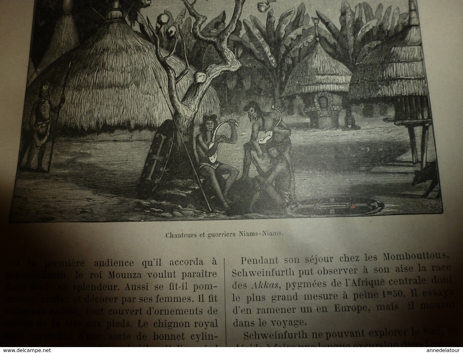 1890 Le Petit Français Illustré :Les Guerriers-chanteurs Niams-Niams ; Le Cossus Gâte-bois Tue Les Arbres; Nancy; Etc - 1850 - 1899