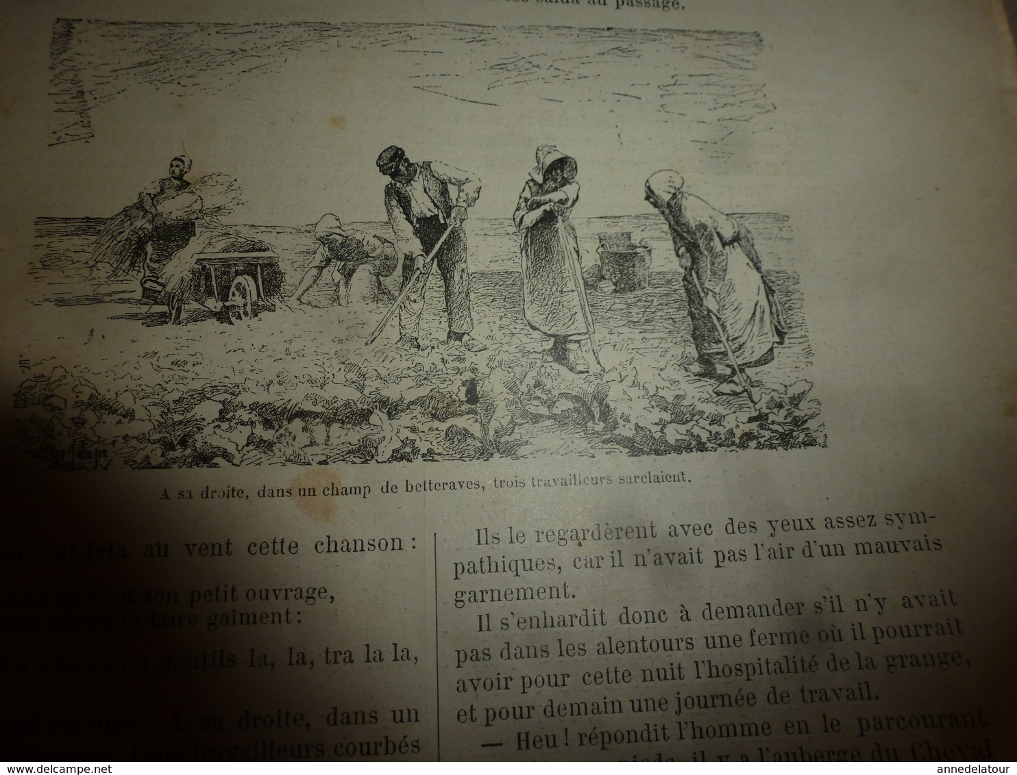 1890 Le Petit Français illustré :Les guerriers-chanteurs Niams-Niams ; Le cossus gâte-bois tue les arbres; Nancy; etc