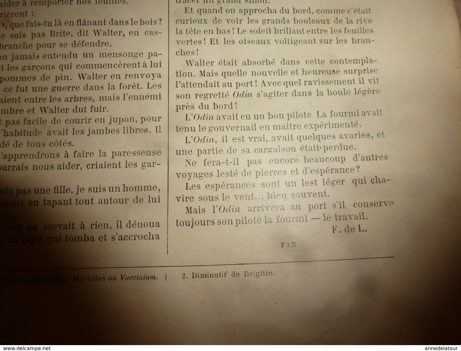 1890 Le Petit Français illustré :Les guerriers-chanteurs Niams-Niams ; Le cossus gâte-bois tue les arbres; Nancy; etc