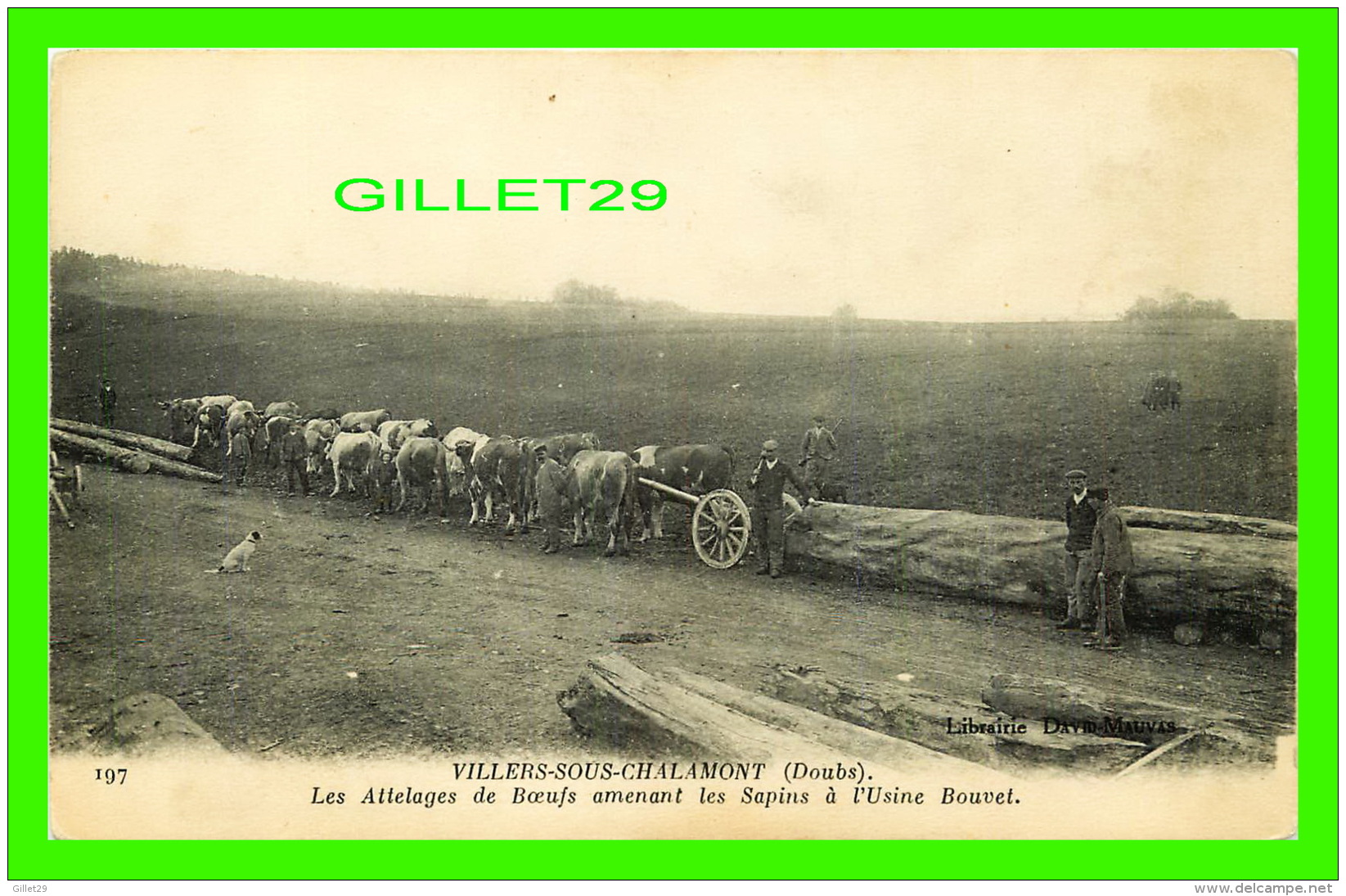 VILLERS-SOUS-CHALAMONT (25) - LES ATTELAGES DE BOEUFS AMENANT LES SAPINS À L'USINE BOUVET - LIB.  DAVID MAUVAS - ANIMÉE - Otros & Sin Clasificación