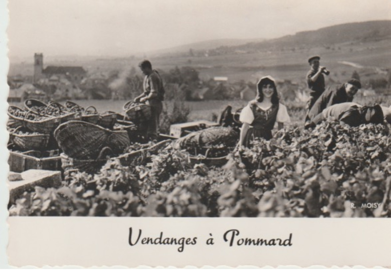 VENDANGES   À  POMMARD - Otros & Sin Clasificación