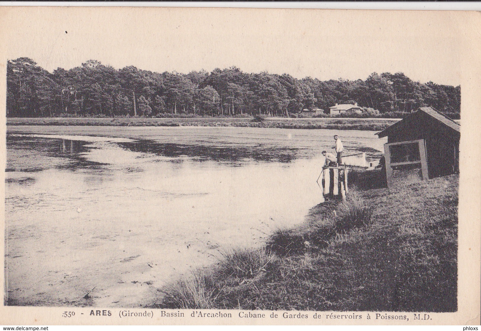 Arès/33/ Bassin D'Arcachon Cabane De Gardes.../ Réf:fm594 - Arès