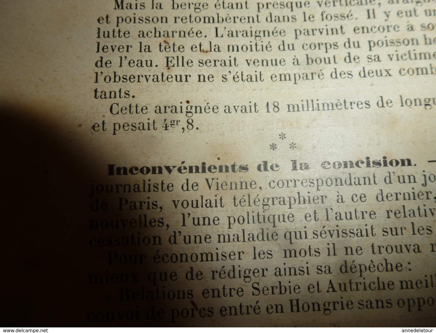 1890 Le Petit Français illustré : Combat de coqs; Les courses de taureaux en Espagne;Combat Araignée contre Poisson ;etc