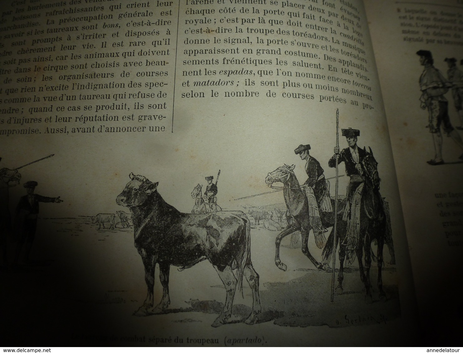 1890 Le Petit Français Illustré : Les Courses De Taureaux En Espagne;  Ce Qu'on Voit Dans Une Fourmilière ; Etc - 1850 - 1899