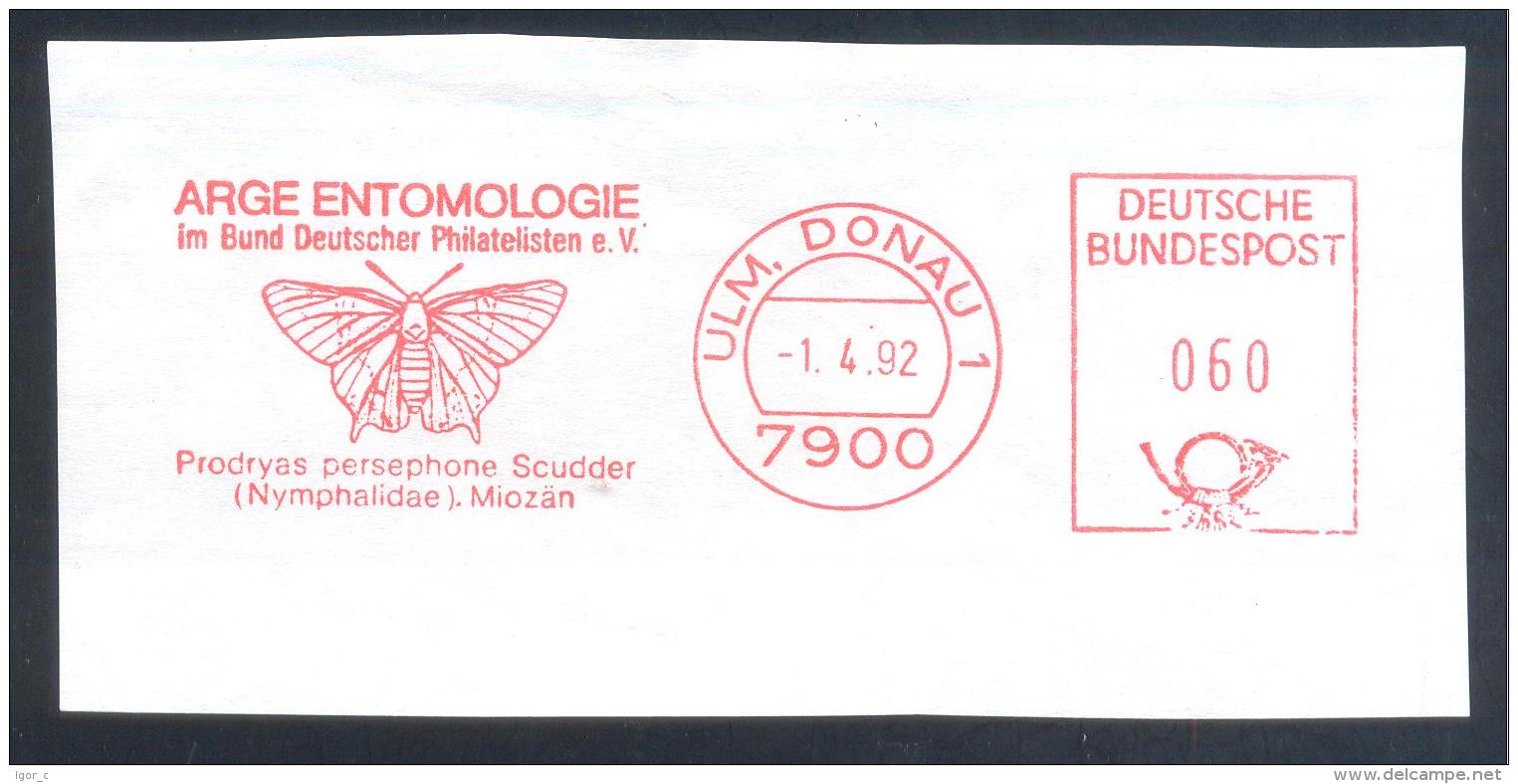 Germany 1992 Meter EMA Cancellation Freistempel: Etnomology Insect Butterfly Schmetterling Mariposa Papillon Farfalla - Schmetterlinge