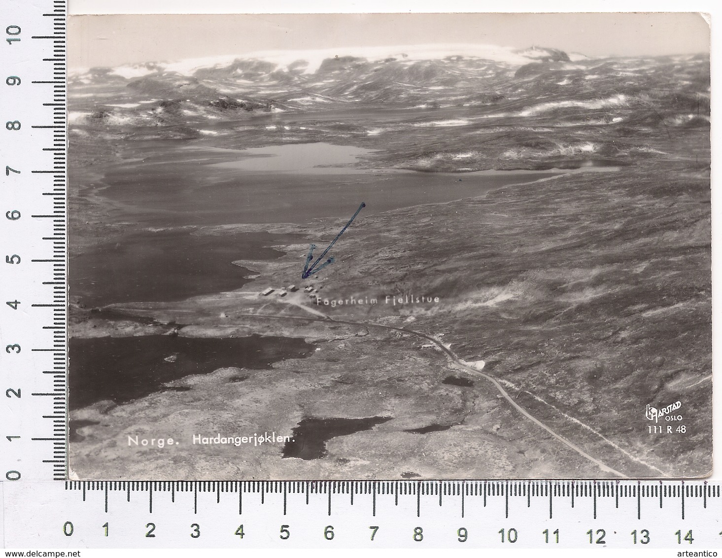 Norge ~ Hardangerjøklen ~ Hardangerjøkulen ~ Hardangerjokulen ~ Norvegia ~ Norway ~ Norvège ~ Norwegen - Norvegia