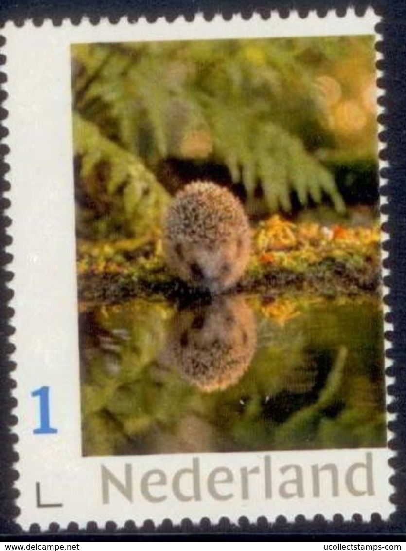 Nederland 2018 Egel  Hedgehog  Igel  Herrison  Postfris/mnh/sans Charniere - Ongebruikt