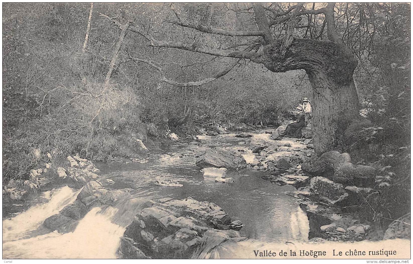 Vallée De La Hoëgne - Le Chêne Rustique - Pepinster