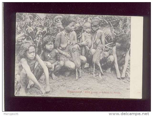 Singapore Wild Group Of Sakais In Perak édit. Max H. Hilckes  Femmes Aux Seins Nus Donnant Le Sein à Des Animaux , Têtée - Singapore