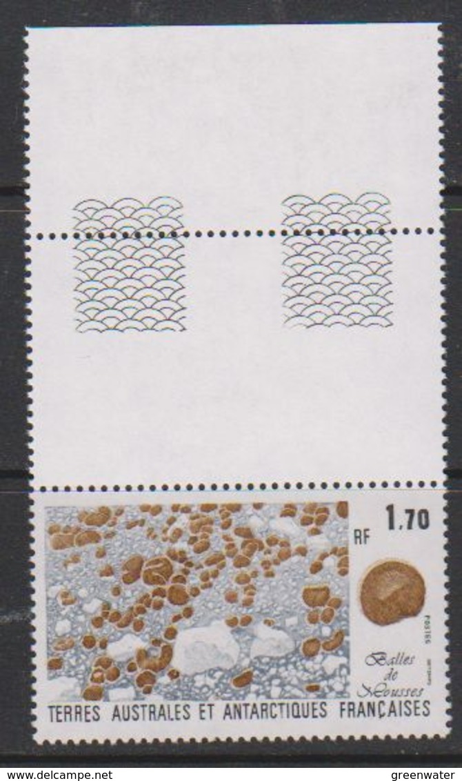 TAAF 1991 Plants 1v (margin) ** Mnh (39677A) - Ongebruikt