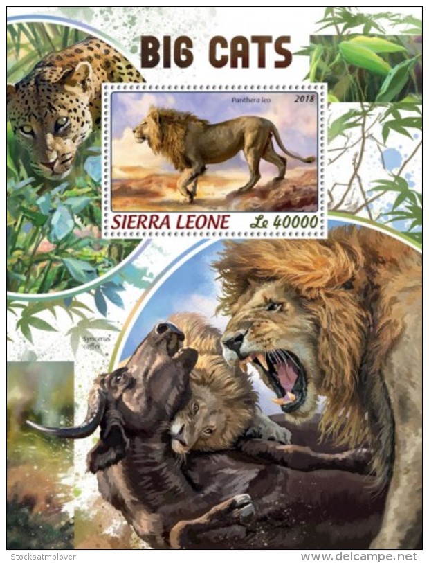 Sierra Leone 2018   Big Cats  S201806 - Sierra Leone (1961-...)