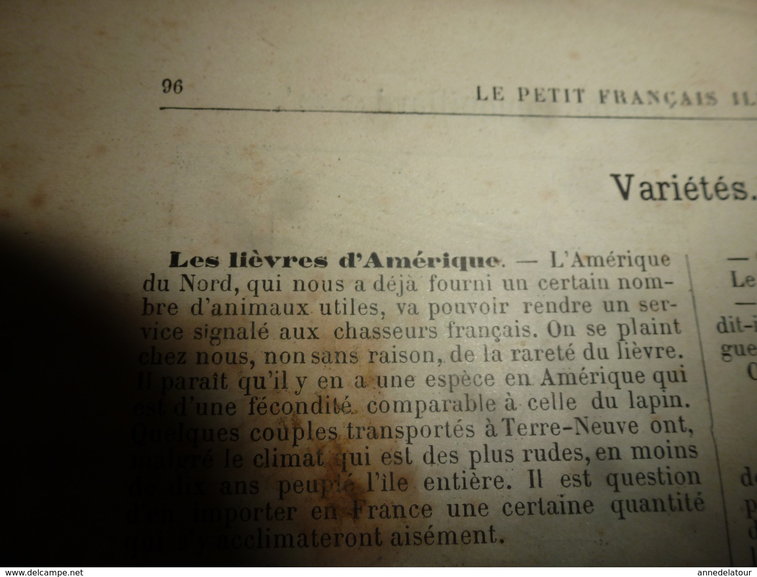 1890 Le Petit Français illustré:Ecole Diderot; Les jeux de PLAIN-AIR; Le lièvre d'Amérique; Pompéï ;etc