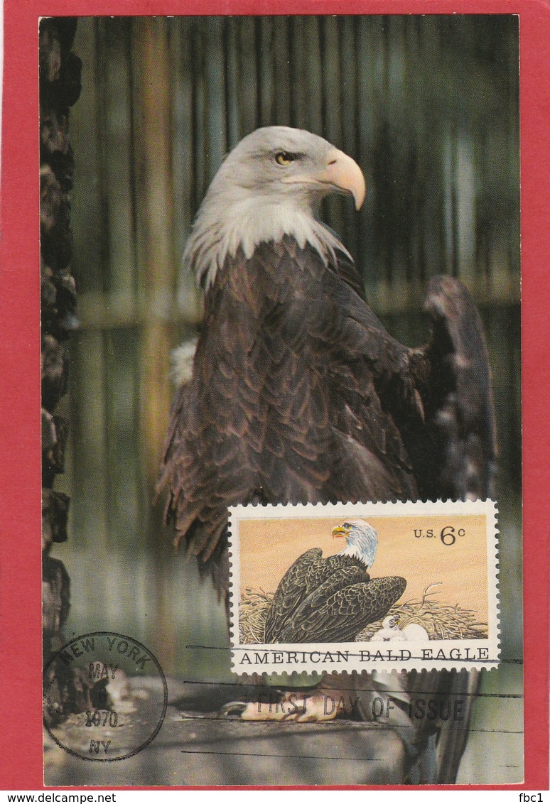 Carte Maximum - Etats-Unis - USA - Oiseaux - Aigle - Eagle 1970 - Eagles & Birds Of Prey