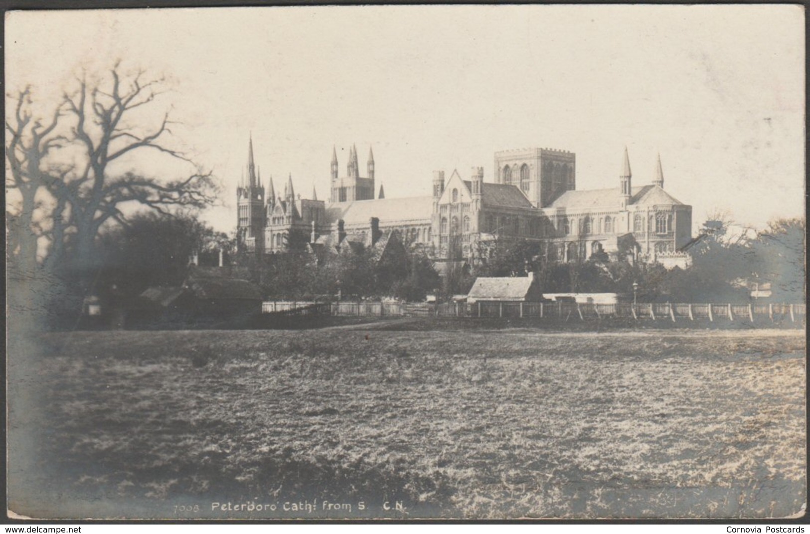 Peterborough Cathedral From The South, Northamptonshire, C.1910s - Photochrom RP Postcard - Northamptonshire