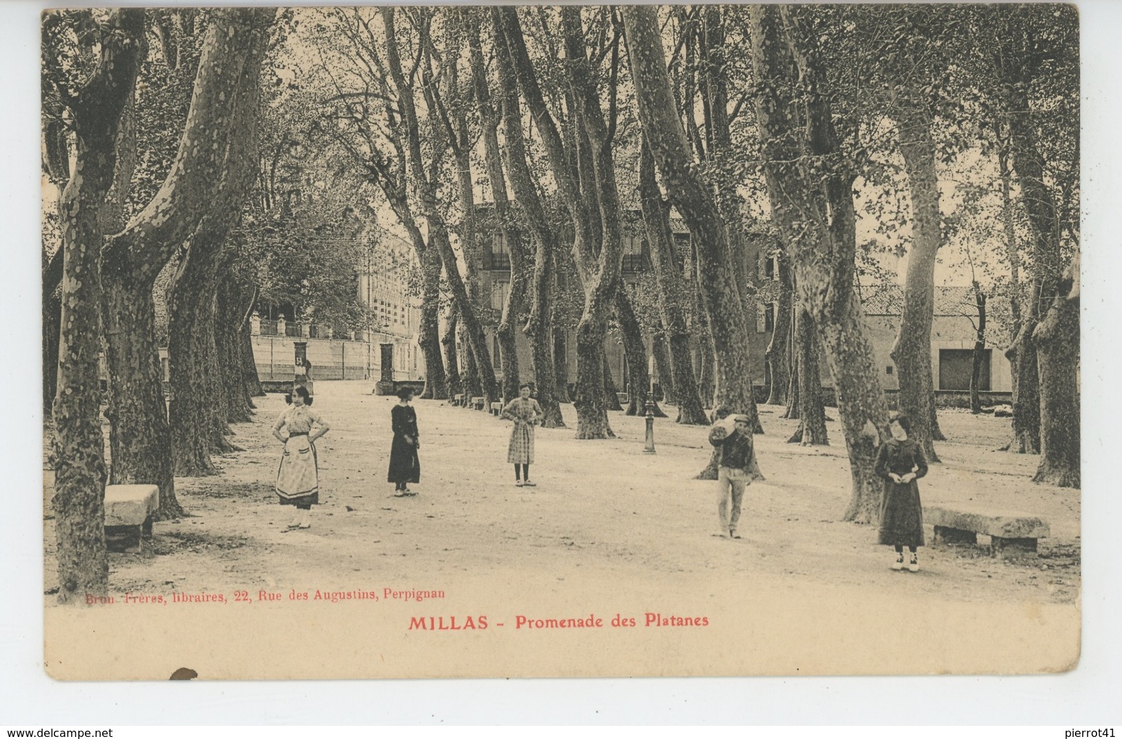 MILLAS - Promenade Des Platanes - Millas