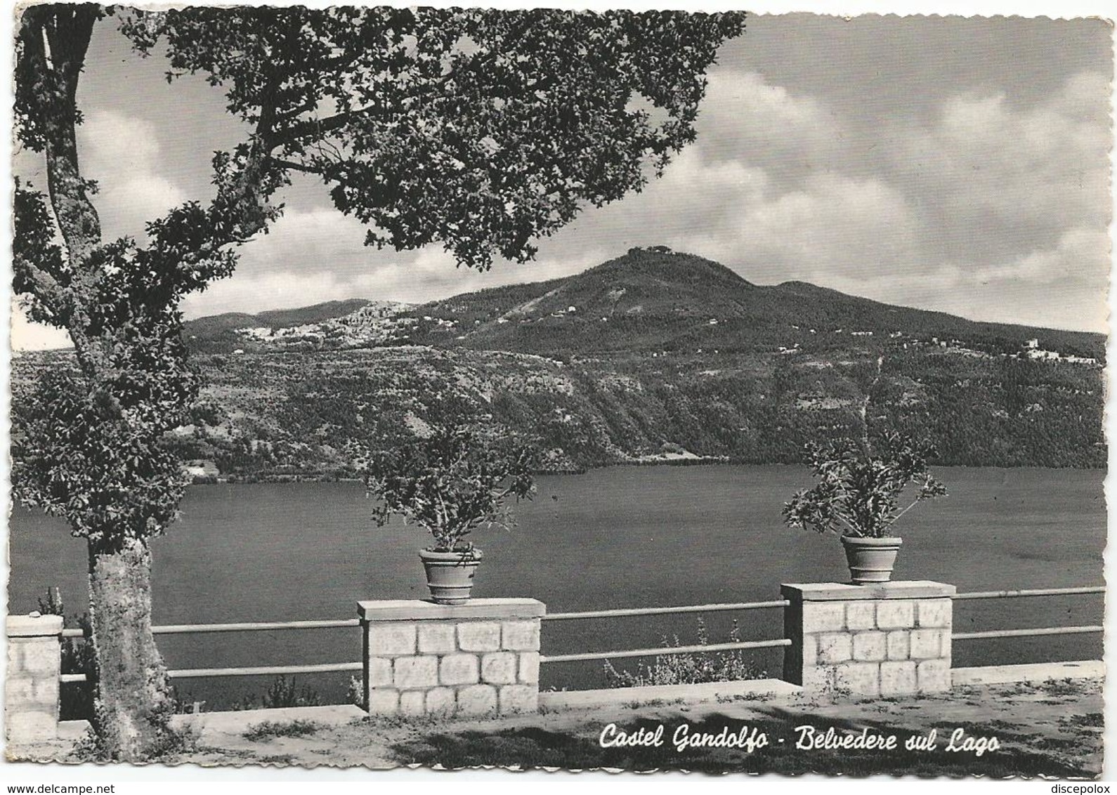 X3545 Castel Gandolfo Castelgandolfo (Roma) - Belvedere Sul Lago Di Albano - Panorama / Viaggiata 1955 - Altri & Non Classificati