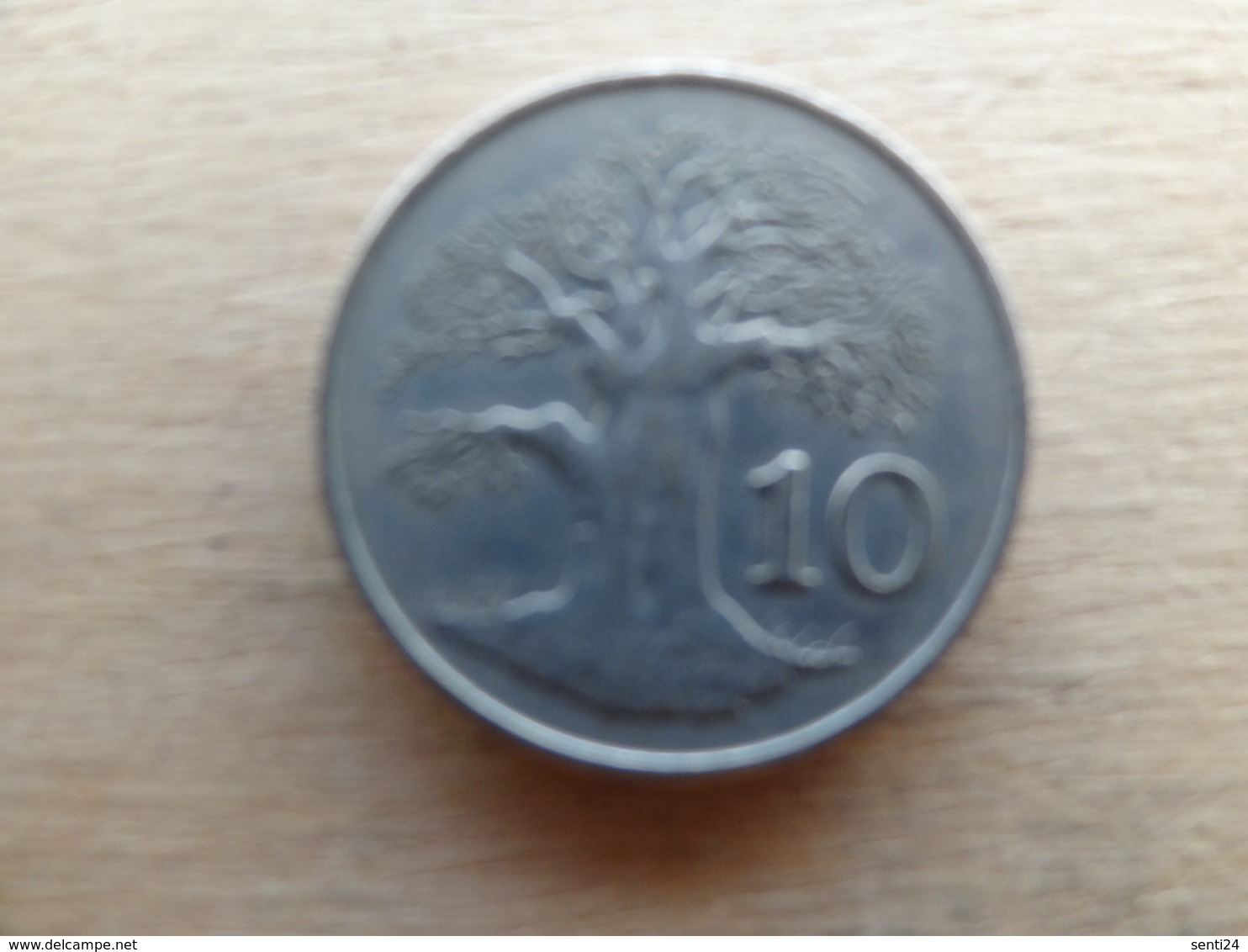 Zimbabwe  10  Cents  1980  Km 3 - Zimbabwe