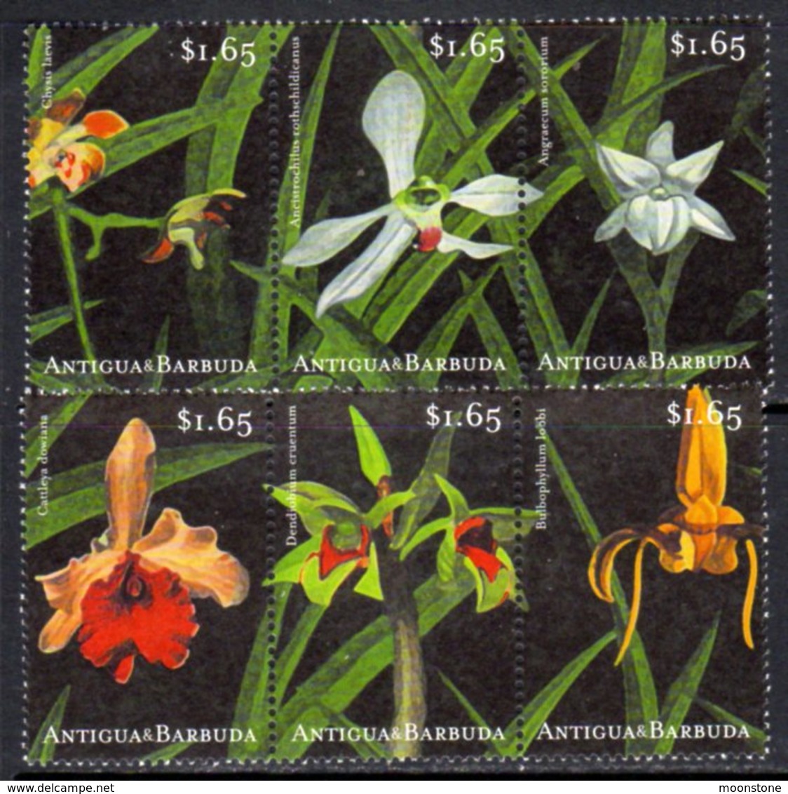 Antigua & Barbuda 2001 Orchids Definitives Group Of 6 X $1.65 Values, MNH, Central Stamp Hinged, SG 3338/43 - Antigua Y Barbuda (1981-...)