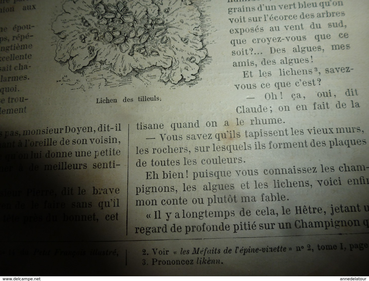 1890 Le Petit Français Illustré:Les Bienfaits De L'association De Végétaux ;Vercingétorix ; Les Animaux Utiles ; Etc - 1850 - 1899