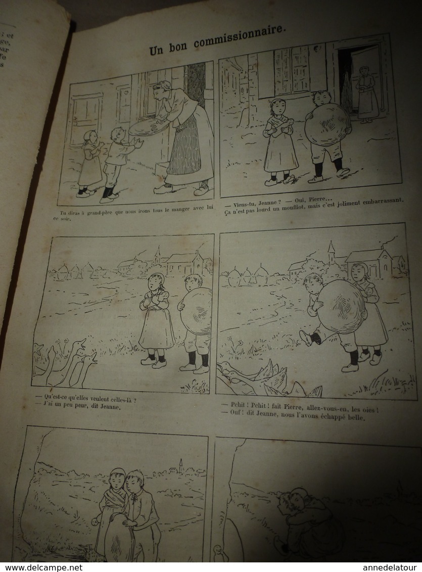 1890 Le Petit Français illustré:Les bienfaits de l'association de végétaux ;Vercingétorix ; Les animaux utiles ; etc