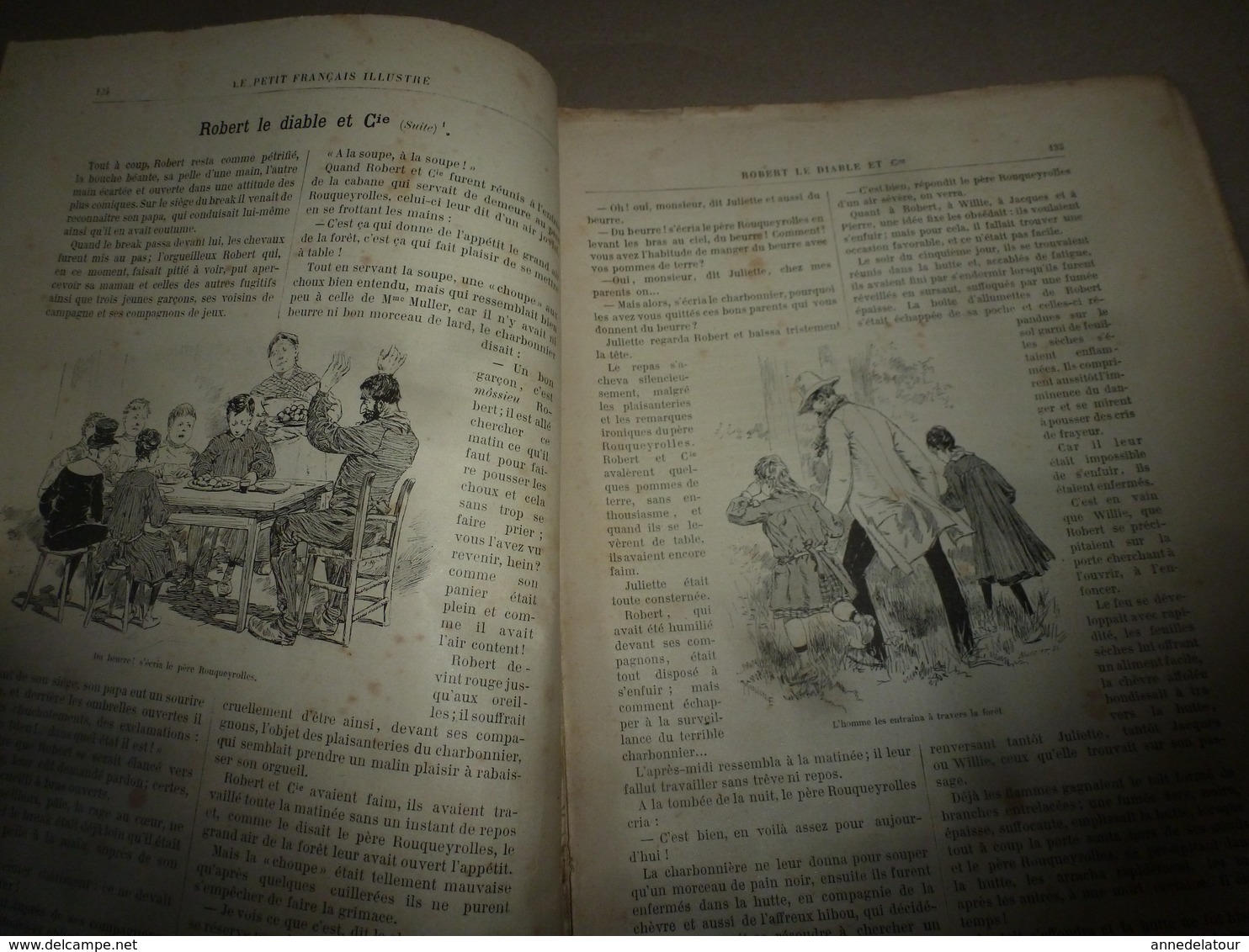 1890 Le Petit Français illustré:Les bienfaits de l'association de végétaux ;Vercingétorix ; Les animaux utiles ; etc