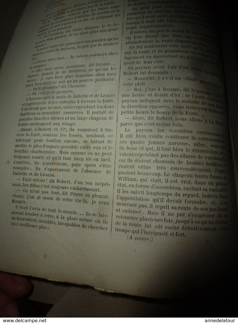 1890 Le Petit Français illustré:Les bienfaits de l'association de végétaux ;Vercingétorix ; Les animaux utiles ; etc