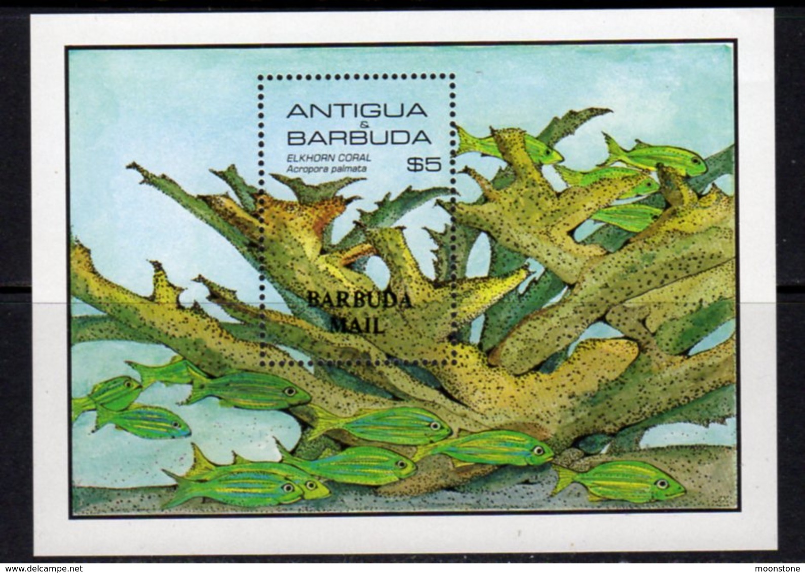 Barbuda 1985 Marine Life Elkhorn Coral MS, MNH, SG 836 - Antigua And Barbuda (1981-...)